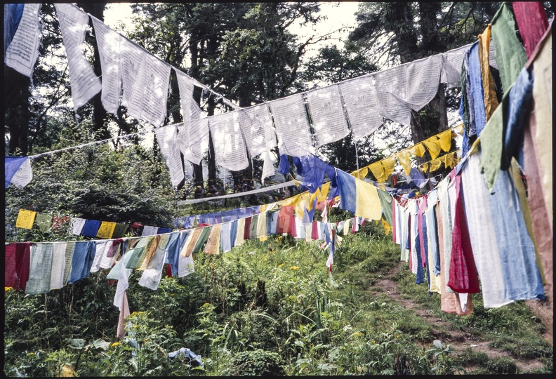 Bhutan-0018.jpg