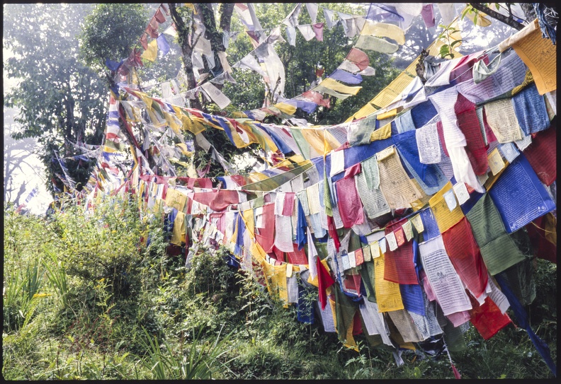 Bhutan-0019.jpg