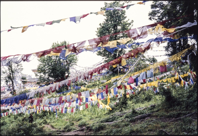 Bhutan-0020.jpg