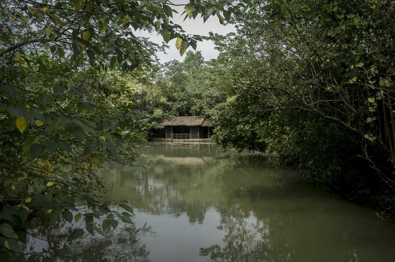 Secret Pond in Xixi National Wetland Park