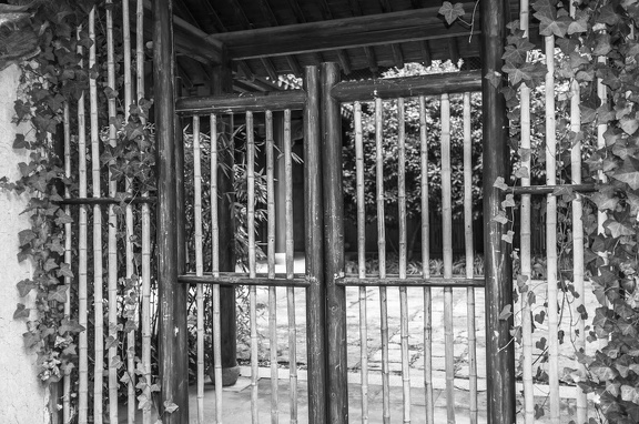 Bamboo Gate in Xixi National Wetland Park