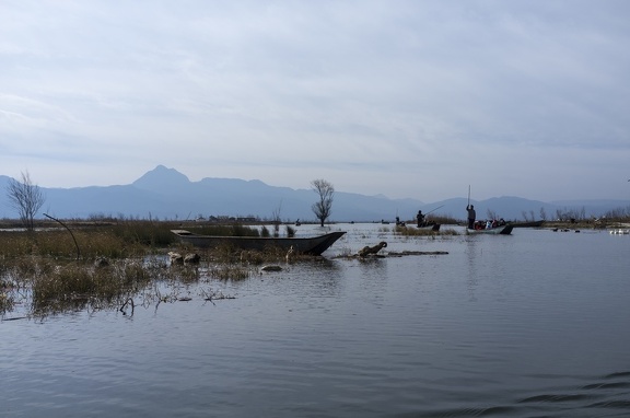 boats, ducks, goose and cranes on lashihai