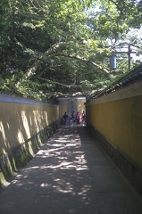 Streets at Mount Putuo (普陀山)