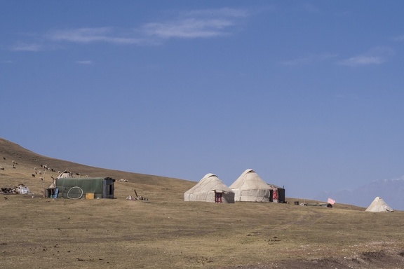 Nomad yurt