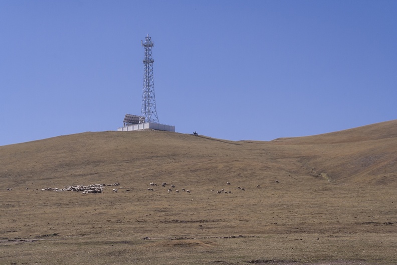 cattle and pv powered communication tower