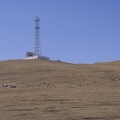 cattle and pv powered communication tower