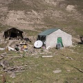 Nomad yurt
