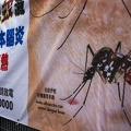 Warning in Hong Kong about Dengue Fever