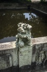 Lion Sculpture at Mount Putuo (普陀山)
