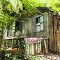 Abandoned Hut on Pulau Ubin